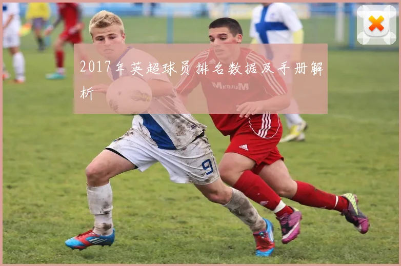 2017年英超球员排名数据及手册解析