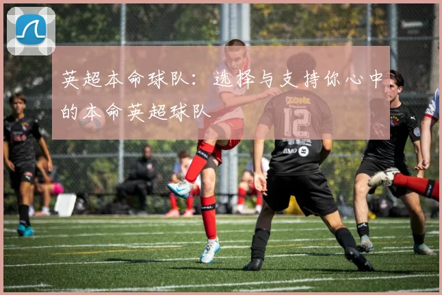 英超本命球队：选择与支持你心中的本命英超球队