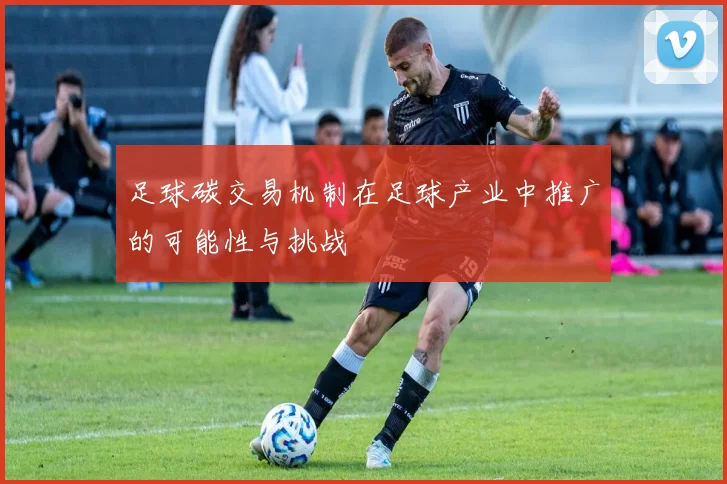 足球碳交易机制在足球产业中推广的可能性与挑战