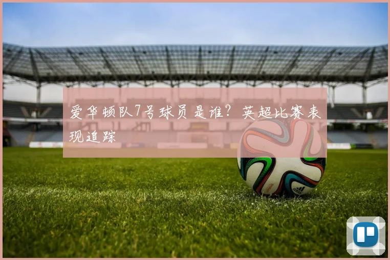 爱华顿队7号球员是谁？英超比赛表现追踪