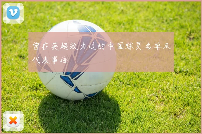 曾在英超效力过的中国球员名单及代表事迹
